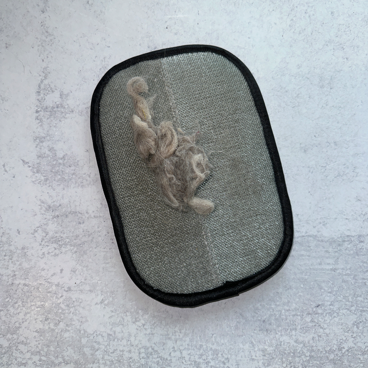 Pawz Brush (2 Pack) (Limited Edition - Only 50 Available)